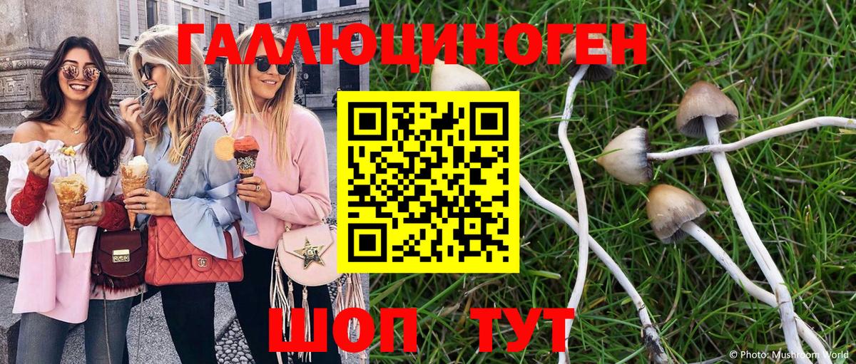 Галлюциногенные грибы мицелий  Вход с VPN  Гурьевск 