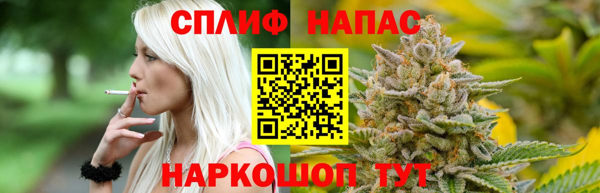 Конопля гибрид Гурьевск